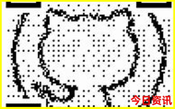 暑假去哪玩最好国内